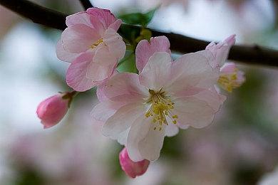 传小岛秀夫已经拿到PSVR 2开发套件 正为其打造游戏